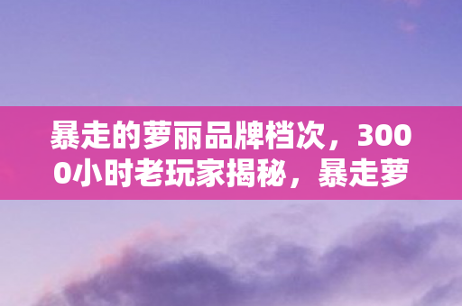 暴走的萝丽品牌档次,3000小时老玩家揭秘,暴走萝莉的灯笼,藏着多少游戏人的辛酸泪? 暴走的萝丽品牌档次,3000小时老玩家揭秘,暴走萝莉的灯笼,藏着多少游戏人的辛酸泪?