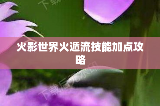 火影世界火遁流技能加点攻略 火影世界火遁流技能加点攻略