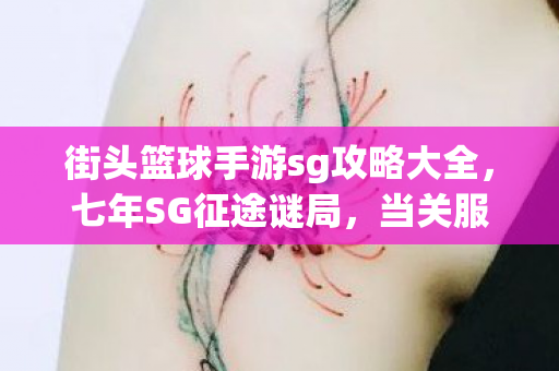 街头篮球手游sg攻略大全,七年SG征途谜局,当关服倒计时撞碎泪目防线 街头篮球手游sg攻略大全,七年SG征途谜局,当关服倒计时撞碎泪目防线