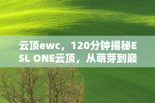 云顶ewc,120分钟揭秘ESL ONE云顶,从萌芽到巅峰,谁在幕后泪目坚守? 云顶ewc,120分钟揭秘ESL ONE云顶,从萌芽到巅峰,谁在幕后泪目坚守?