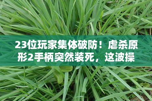 23位玩家集体破防!虐杀原形2手柄突然装死,这波操作谁绷得住? 23位玩家集体破防!虐杀原形2手柄突然装死,这波操作谁绷得住?