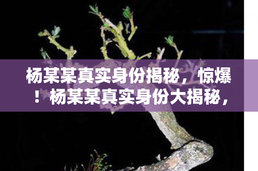 杨某某真实身份揭秘，惊爆！杨某某真实身份大揭秘，3大反转让我三观碎一地！