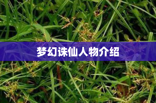 梦幻诛仙人物介绍 梦幻诛仙人物介绍