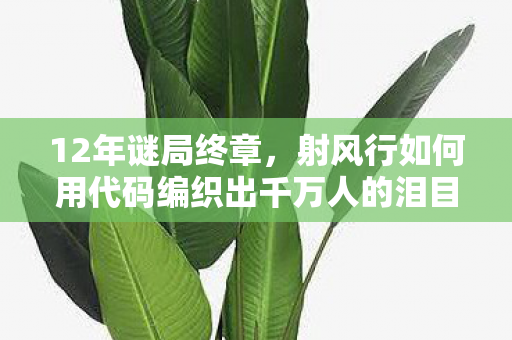 12年谜局终章，射风行如何用代码编织出千万人的泪目青春