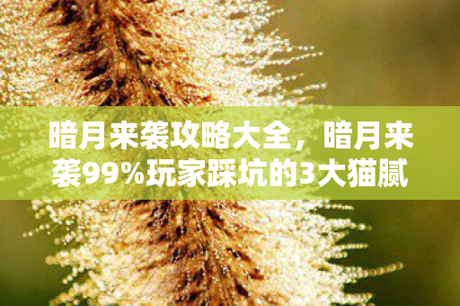 暗月来袭攻略大全,暗月来袭99%玩家踩坑的3大猫腻!这波操作让我血压飙升又上头 暗月来袭攻略大全,暗月来袭99%玩家踩坑的3大猫腻!这波操作让我血压飙升又上头