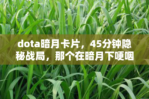 dota暗月卡片,45分钟隐秘战局,那个在暗月下哽咽的守夜人 dota暗月卡片,45分钟隐秘战局,那个在暗月下哽咽的守夜人