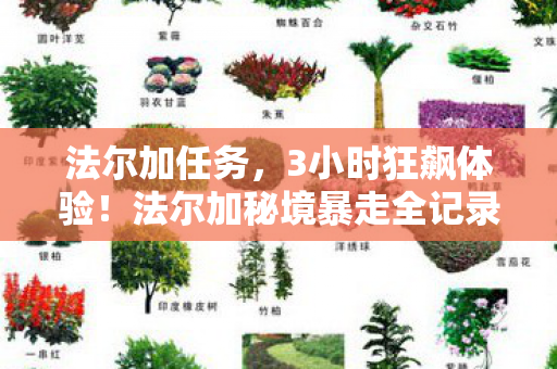法尔加任务,3小时狂飙体验!法尔加秘境暴走全记录,从迷茫到尖叫的终极攻略 法尔加任务,3小时狂飙体验!法尔加秘境暴走全记录,从迷茫到尖叫的终极攻略