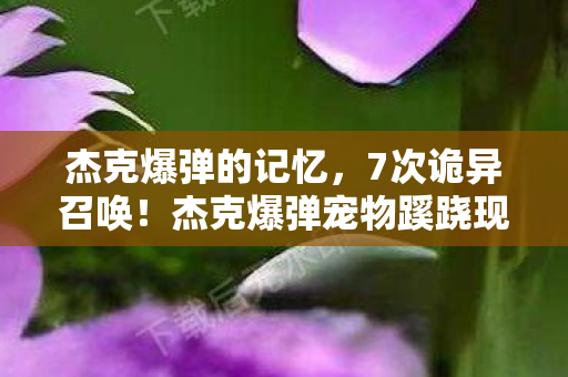 杰克爆弹的记忆，7次诡异召唤！杰克爆弹宠物蹊跷现世，玩家后背发凉直呼见鬼