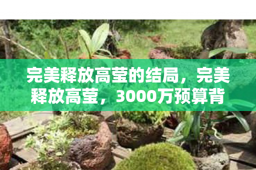 完美释放高莹的结局,完美释放高莹,3000万预算背后隐情曝光,结果让人吓一跳! 完美释放高莹的结局,完美释放高莹,3000万预算背后隐情曝光,结果让人吓一跳!