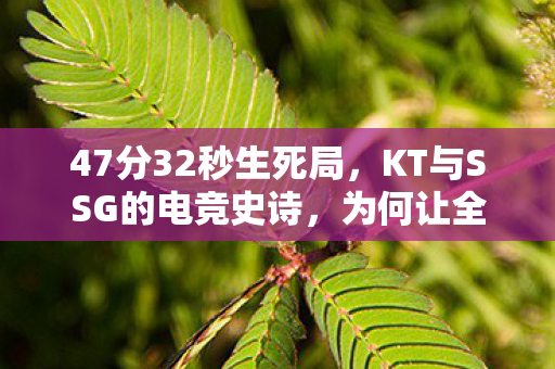 47分32秒生死局,KT与SSG的电竞史诗,为何让全球玩家泪目? 47分32秒生死局,KT与SSG的电竞史诗,为何让全球玩家泪目?