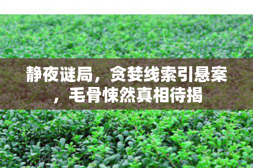 静夜谜局,贪婪线索引悬案,毛骨悚然真相待揭 静夜谜局,贪婪线索引悬案,毛骨悚然真相待揭
