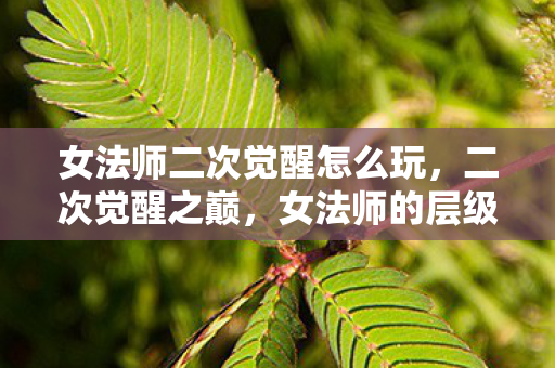 女法师二次觉醒怎么玩，二次觉醒之巅，女法师的层级悖论与灵魂震颤之舞