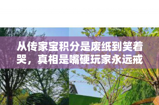 从传家宝积分是废纸到笑着哭，真相是嘴硬玩家永远戒不掉的瘾