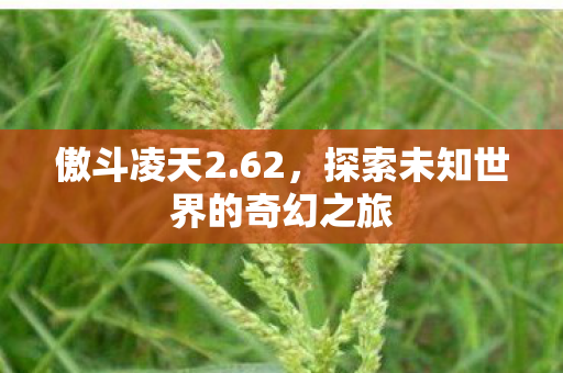 傲斗凌天2.62,探索未知世界的奇幻之旅 傲斗凌天2.62,探索未知世界的奇幻之旅
