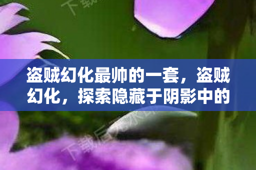 盗贼幻化最帅的一套,盗贼幻化,探索隐藏于阴影中的神秘美学 盗贼幻化最帅的一套,盗贼幻化,探索隐藏于阴影中的神秘美学