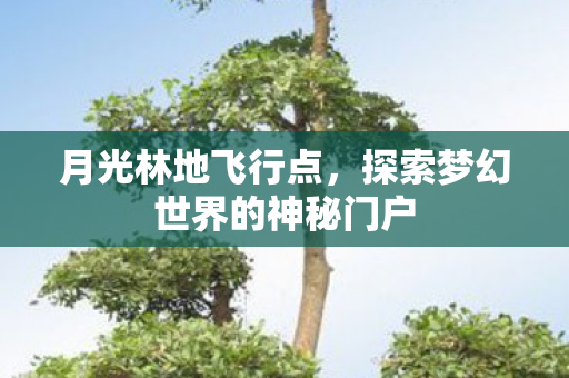 月光林地飞行点，探索梦幻世界的神秘门户
