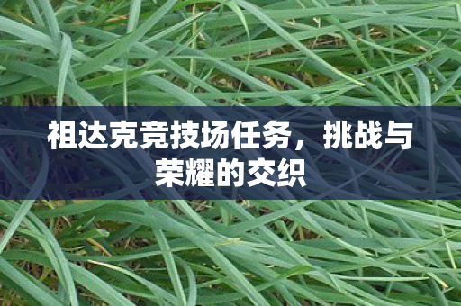 祖达克竞技场任务,挑战与荣耀的交织 祖达克竞技场任务,挑战与荣耀的交织