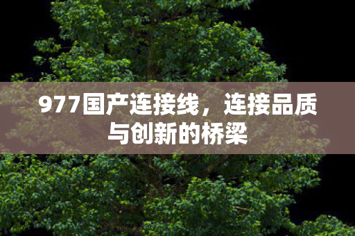 977国产连接线,连接品质与创新的桥梁 977国产连接线,连接品质与创新的桥梁