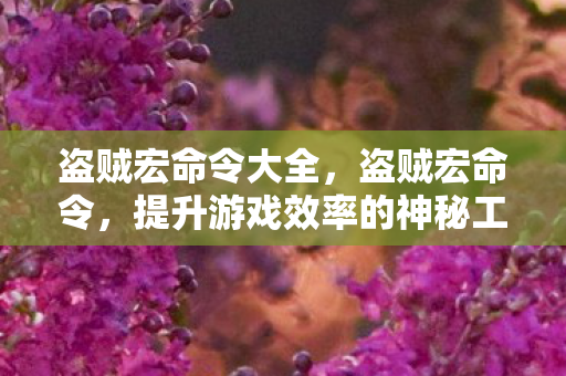 盗贼宏命令大全,盗贼宏命令,提升游戏效率的神秘工具 盗贼宏命令大全,盗贼宏命令,提升游戏效率的神秘工具