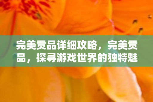 完美贡品详细攻略,完美贡品,探寻游戏世界的独特魅力与珍贵价值 完美贡品详细攻略,完美贡品,探寻游戏世界的独特魅力与珍贵价值