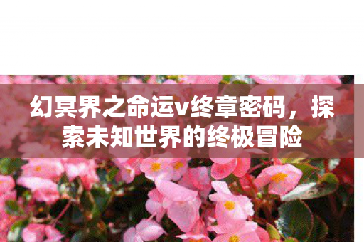 幻冥界之命运v终章密码,探索未知世界的终极冒险 幻冥界之命运v终章密码,探索未知世界的终极冒险