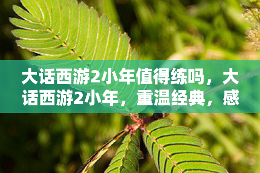 大话西游2小年值得练吗,大话西游2小年,重温经典,感受情怀 大话西游2小年值得练吗,大话西游2小年,重温经典,感受情怀