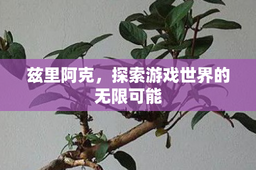 兹里阿克,探索游戏世界的无限可能 兹里阿克,探索游戏世界的无限可能