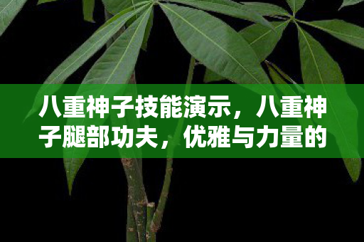 八重神子技能演示,八重神子腿部功夫,优雅与力量的完美融合 八重神子技能演示,八重神子腿部功夫,优雅与力量的完美融合
