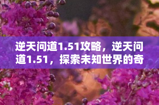 逆天问道1.51攻略,逆天问道1.51,探索未知世界的奇幻之旅 逆天问道1.51攻略,逆天问道1.51,探索未知世界的奇幻之旅