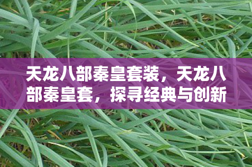 天龙八部秦皇套装,天龙八部秦皇套,探寻经典与创新的融合 天龙八部秦皇套装,天龙八部秦皇套,探寻经典与创新的融合