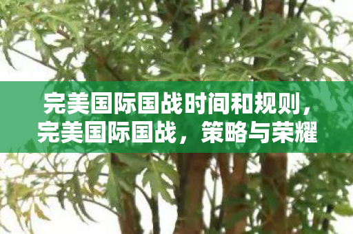 完美国际国战时间和规则,完美国际国战,策略与荣耀的较量 完美国际国战时间和规则,完美国际国战,策略与荣耀的较量