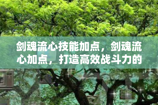 剑魂流心技能加点,剑魂流心加点,打造高效战斗力的关键 剑魂流心技能加点,剑魂流心加点,打造高效战斗力的关键