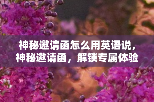 神秘邀请函怎么用英语说,神秘邀请函,解锁专属体验的奥秘 神秘邀请函怎么用英语说,神秘邀请函,解锁专属体验的奥秘