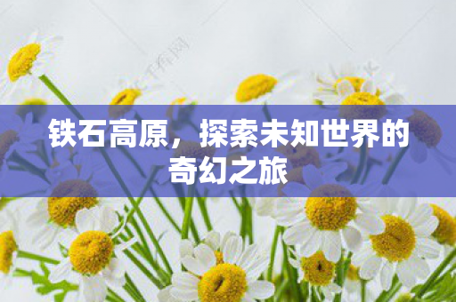铁石高原，探索未知世界的奇幻之旅