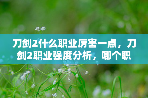 刀剑2什么职业厉害一点，刀剑2职业强度分析，哪个职业最厉害？