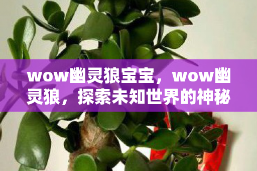 wow幽灵狼宝宝,wow幽灵狼,探索未知世界的神秘生物 wow幽灵狼宝宝,wow幽灵狼,探索未知世界的神秘生物