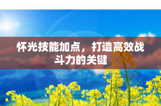 怀光技能加点,打造高效战斗力的关键 怀光技能加点,打造高效战斗力的关键