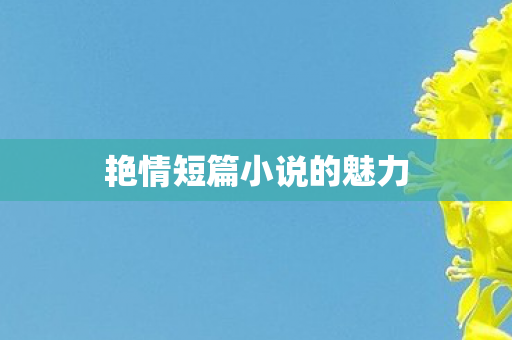艳情短篇小说的魅力 艳情短篇小说的魅力