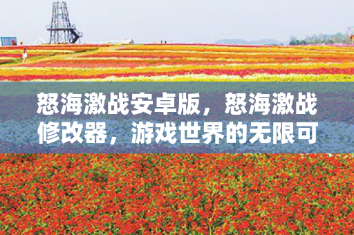 怒海激战安卓版，怒海激战修改器，游戏世界的无限可能