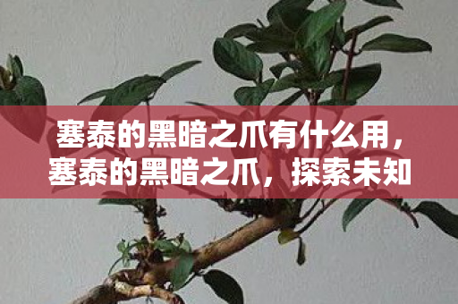 塞泰的黑暗之爪有什么用,塞泰的黑暗之爪,探索未知世界的奇幻之旅 塞泰的黑暗之爪有什么用,塞泰的黑暗之爪,探索未知世界的奇幻之旅