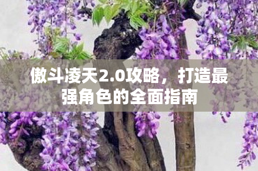 傲斗凌天2.0攻略，打造最强角色的全面指南