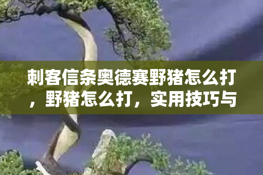 刺客信条奥德赛野猪怎么打,野猪怎么打,实用技巧与策略 刺客信条奥德赛野猪怎么打,野猪怎么打,实用技巧与策略