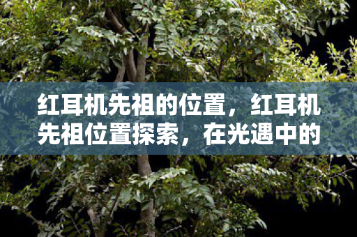 红耳机先祖的位置,红耳机先祖位置探索,在光遇中的神秘之旅 红耳机先祖的位置,红耳机先祖位置探索,在光遇中的神秘之旅