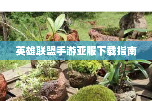 英雄联盟手游亚服下载指南 英雄联盟手游亚服下载指南