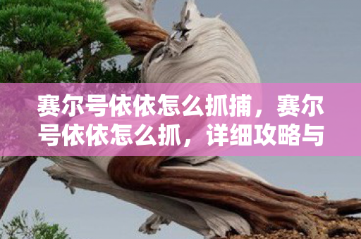 赛尔号依依怎么抓捕，赛尔号依依怎么抓，详细攻略与技巧分享