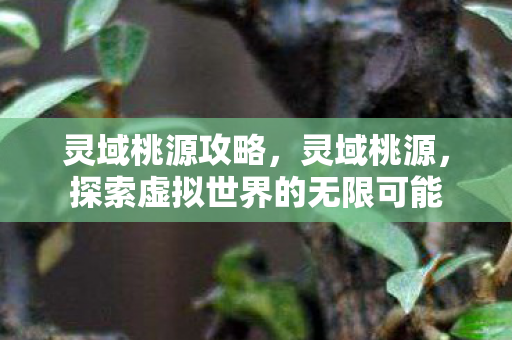 灵域桃源攻略，灵域桃源，探索虚拟世界的无限可能