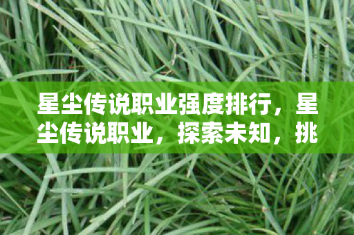 星尘传说职业强度排行，星尘传说职业，探索未知，挑战极限