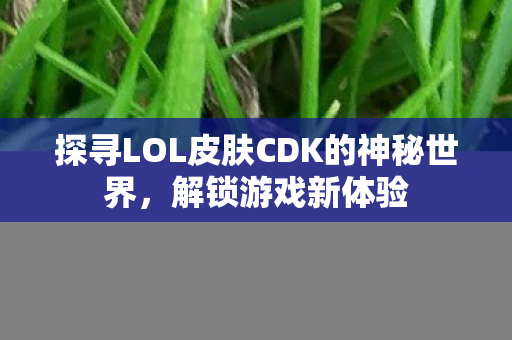 探寻LOL皮肤CDK的神秘世界,解锁游戏新体验 探寻LOL皮肤CDK的神秘世界,解锁游戏新体验