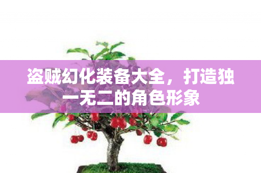 盗贼幻化装备大全,打造独一无二的角色形象 盗贼幻化装备大全,打造独一无二的角色形象