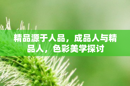 精品源于人品，成品人与精品人，色彩美学探讨